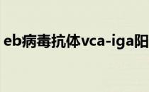 eb病毒抗体vca-iga阳性什么意思（eb怀特）