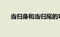 当归身和当归尾的功效区别（当归身）