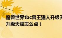 魔兽世界tbc兽王猎人升级天赋（wowtbc怀旧服兽王猎人升级天赋怎么点）
