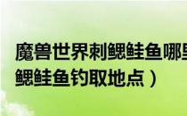 魔兽世界刺鳃鲑鱼哪里钓（wowtbc怀旧服刺鳃鲑鱼钓取地点）