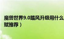 魔兽世界9.0踏风升级用什么天赋（wow9.0踏风武僧练级天赋推荐）