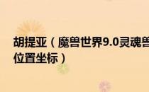胡提亚（魔兽世界9.0灵魂兽哪里刷 wow9.0灵魂兽刷新点位置坐标）