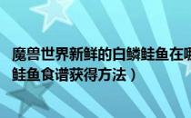 魔兽世界新鲜的白鳞鲑鱼在哪里钓（wow怀旧服新鲜的白鳞鲑鱼食谱获得方法）
