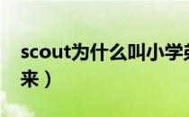 scout为什么叫小学弟（scout小学弟名字由来）