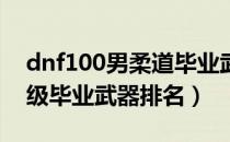 dnf100男柔道毕业武器拿什么（男柔道100级毕业武器排名）