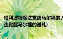 哈利波特魔法觉醒马尔福的入学礼物答案是什么(哈利波特魔法觉醒马尔福的送礼)