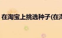 在淘宝上挑选种子(在淘宝上挑选种子可信吗)