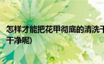 怎样才能把花甲彻底的清洗干净(怎样才能把花甲彻底的清洗干净呢)
