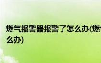 燃气报警器报警了怎么办(燃气报警器报警了怎么办用不了怎么办)