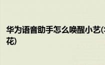 华为语音助手怎么唤醒小艺(华为语音助手怎么唤醒小艺放烟花)