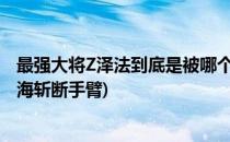 最强大将Z泽法到底是被哪个七武海砍手(泽法是被哪个七武海斩断手臂)