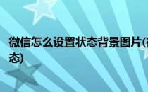 微信怎么设置状态背景图片(微信怎么设置状态背景图片为动态)