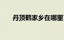 丹顶鹤家乡在哪里?(丹顶鹤老家在哪)