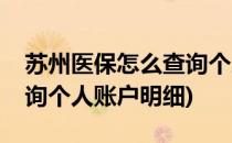 苏州医保怎么查询个人账户(苏州医保怎么查询个人账户明细)
