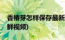 香椿芽怎样保存最新鲜(香椿芽怎样保存最新鲜视频)