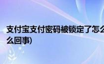 支付宝支付密码被锁定了怎么办(支付宝的支付密码被锁定怎么回事)