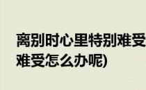 离别时心里特别难受怎么办(离别时心里特别难受怎么办呢)