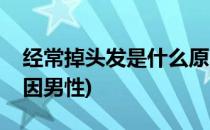 经常掉头发是什么原因(经常掉头发是什么原因男性)