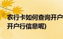 农行卡如何查询开户行信息(农行卡如何查询开户行信息呢)