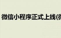 微信小程序正式上线(微信小程序正式上线啦)