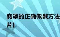胸罩的正确佩戴方法(胸罩的正确佩戴方法图片)