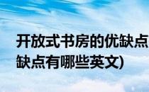 开放式书房的优缺点有哪些(开放式书房的优缺点有哪些英文)