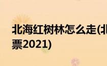 北海红树林怎么走(北海红树林怎么走不收门票2021)