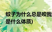 蚊子为什么总是咬我招蚊体质(总招蚊子叮咬是什么体质)