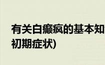 有关白癫疯的基本知识(专家教你辨认白疯癫初期症状)