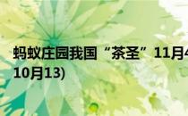 蚂蚁庄园我国“茶圣”11月4日答案(蚂蚁庄园答题今日答案10月13)