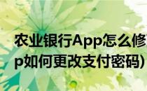 农业银行App怎么修改支付密码(农业银行app如何更改支付密码)