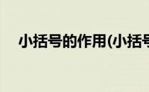 小括号的作用(小括号的作用是改变运算)