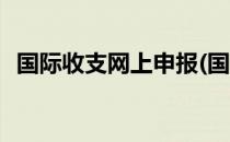 国际收支网上申报(国际收支网上申报系统)