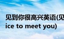 见到你很高兴英语(见到你很高兴英语怎么说nice to meet you)