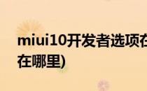 miui10开发者选项在哪(miui10开发者选项在哪里)