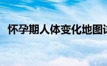 怀孕期人体变化地图详解(孕期身体变化图)