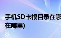 手机SD卡根目录在哪里(小米手机sd卡根目录在哪里)
