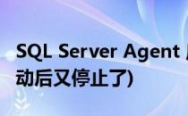 SQL Server Agent 启动(sqlserveragent启动后又停止了)