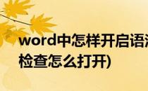 word中怎样开启语法检查(word2007语法检查怎么打开)