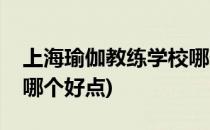 上海瑜伽教练学校哪个好(上海瑜伽教练学校哪个好点)