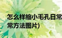 怎么样缩小毛孔日常方法(怎么样缩小毛孔日常方法图片)