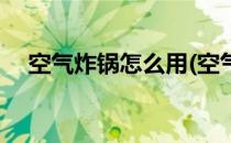 空气炸锅怎么用(空气炸锅怎么用炸鸡翅)