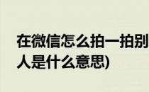 在微信怎么拍一拍别人(在微信怎么拍一拍别人是什么意思)