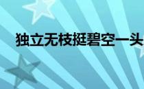 独立无枝挺碧空一头凤尾啸熏风蚂蚁新村