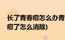 长了青春痘怎么办青春痘怎么去除(长青春痘痘了怎么消除)