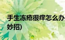 手生冻疮很痒怎么办(手生冻疮很痒怎么办小妙招)