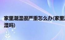 家里潮湿很严重怎么办(家里潮湿很严重怎么办可以开空调抽湿吗)