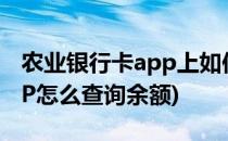 农业银行卡app上如何查询余额(农业银行APP怎么查询余额)