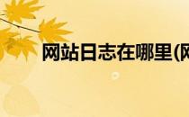 网站日志在哪里(网站日志文件在哪)