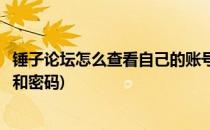 锤子论坛怎么查看自己的账号(锤子论坛怎么查看自己的账号和密码)